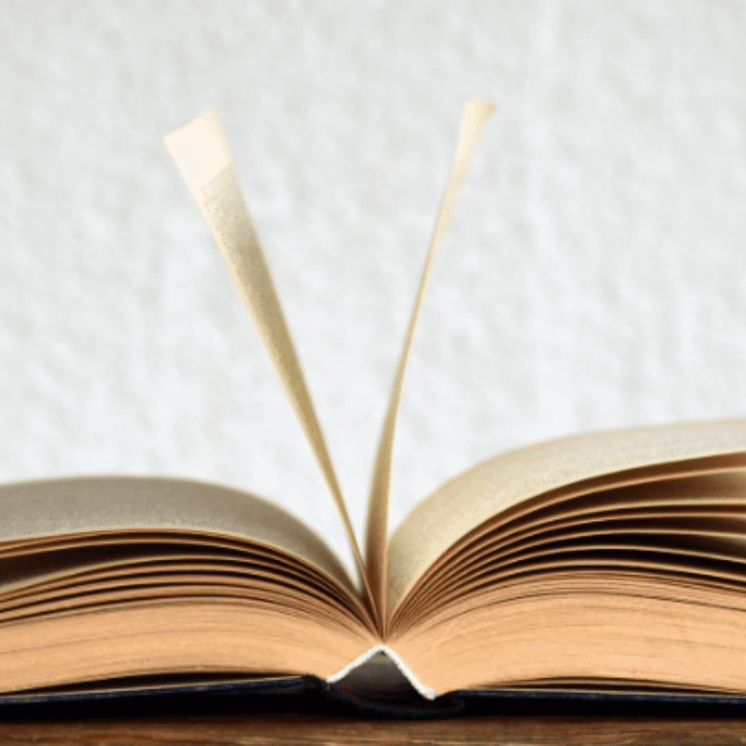 Exploring the 12-Step Program in Rehabilitation