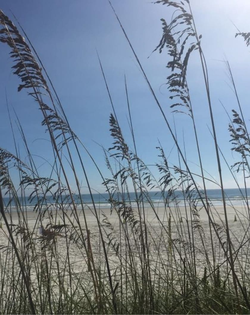 approach_spirit Looking out on the beach through the tall grass